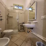 Flavica * تراباني