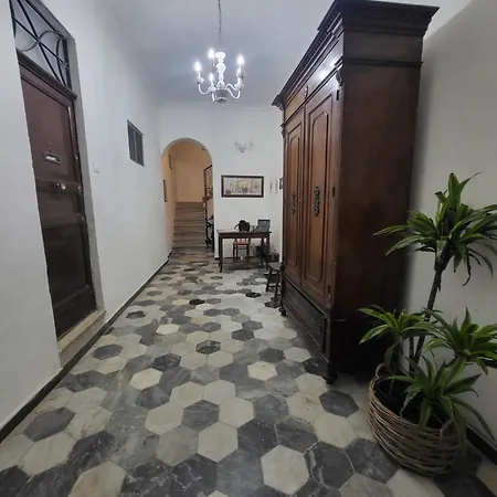 Flavica تراباني
